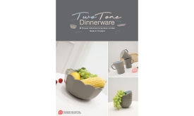 TWOTONE DINNERWARE